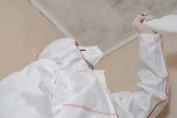 Best Mold Remediation for Specific Building Types in Granite, OK